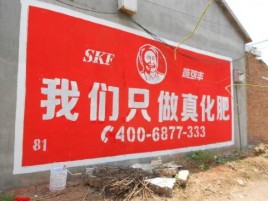 淮南刷墙广告”蕴含了时代命题