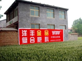淮南如何让墙体广告展现最大化效果