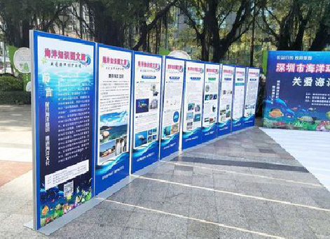 淮南KT板的种类和知识。